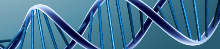 Biotech DNA